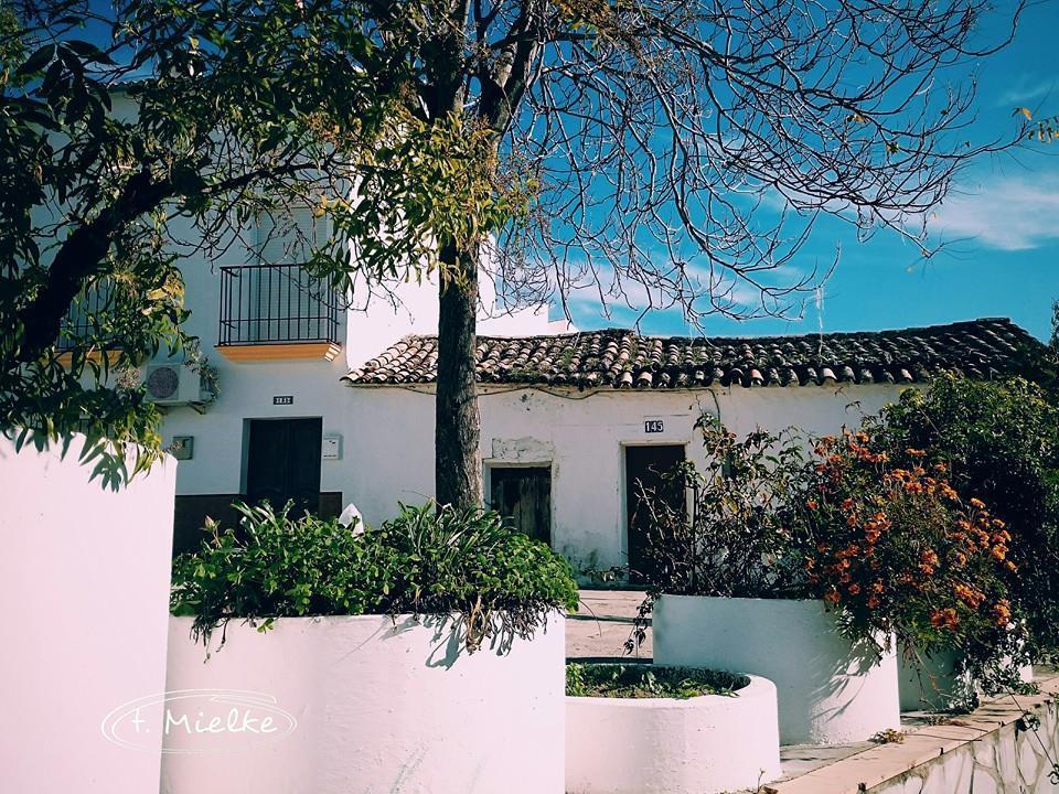 La Carrihuela Guest House Algodonales Exterior photo